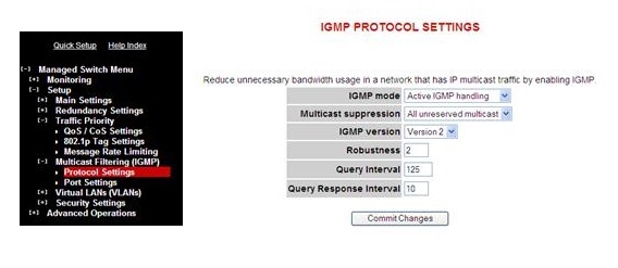 IGMP1.jpg